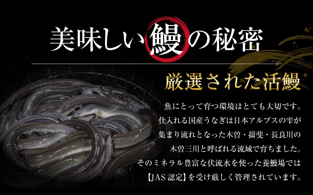 王鉄興業 木曽三川うなぎ大5人前＋きざみ蒲焼