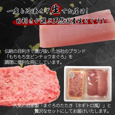 ふるさと納税 日高町 那智勝浦直送!天然もちもち生ビン長まぐろとたたきセット　4人前 |  | 02