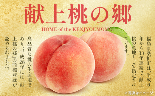もも【だてか白桃・2026年産】特秀3kg（8～11玉）桑折町振興公社　桃　【07301-0180】