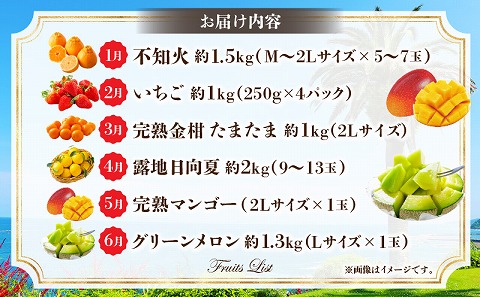 《2026年発送先行予約》南国くだもの6ヶ月定期便_M348-T003