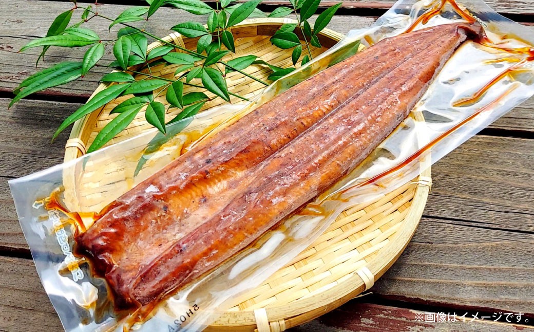 めぐみうなぎ蒲焼き6尾