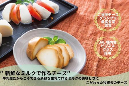 ＜牧成舎＞飛騨の牛乳屋こだわり乳製品贅沢セット（牛乳・ヨーグルト・チーズ・ソーセージ） DF027