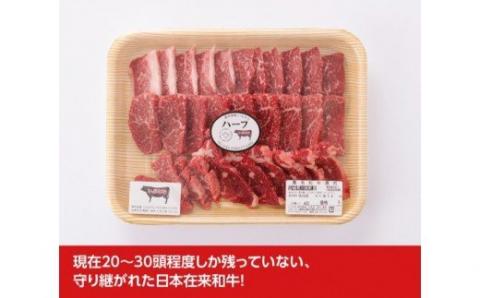 いぶさな牛 焼肉 400g 【 肉 牛肉 焼肉 バーベキュー おうちごはん 宮崎県川南町 】