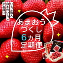 【ふるさと納税】定期便 6ヶ月 いちご いちご職人 白木のいちご あまおうづくし 6回 コース イチゴ 苺 果物 デザート お楽しみ ※配送不可：沖縄・離島　お届け：2025年1月中旬～6月下旬まで
