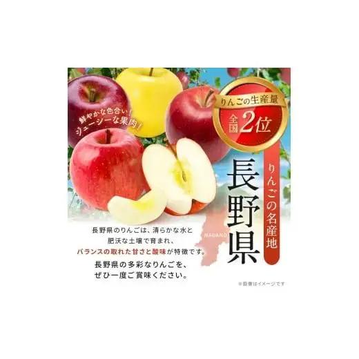 アルプス 信州産 りんごストレート缶ジュース《無添加》160g×16本