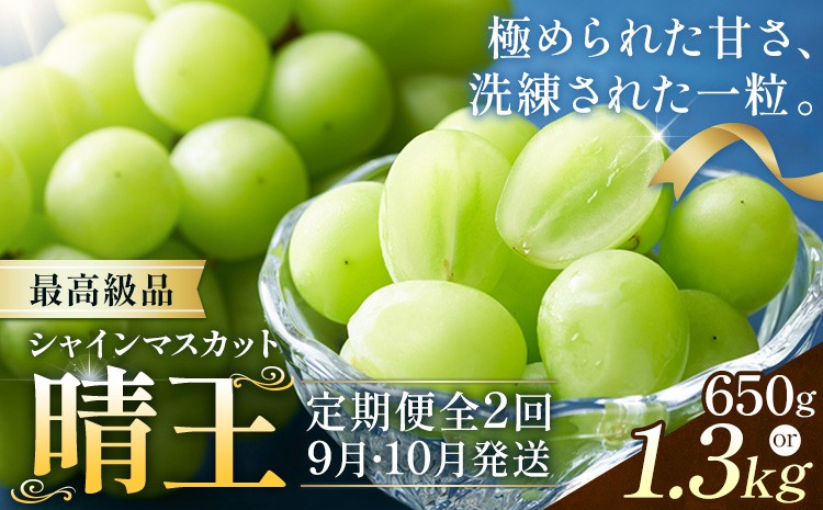 
                  【2026年発送先行予約】シャインマスカット 晴王 2ヶ月 定期便 1房 約650g 2房 約1.3kg 最高級品 シャイン マスカット《2026年9月中旬-10月中旬頃出荷予定》 晴レ乃青果(岡山中央卸売市場店(富士紙工有限会社)) 送料無料 岡山県 果物 【配送不可地域あり】
                
