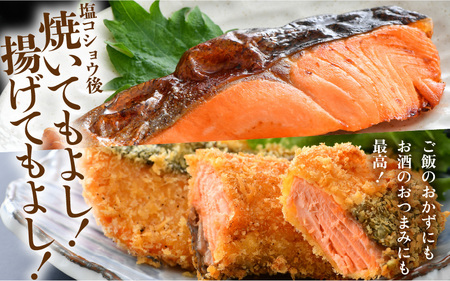 《定期便3回》ふくいサーモン 切り身 100g×6切 計600g ＜鮮度抜群！真空冷凍＞ ／ 生食OK 刺身 焼き魚 鮭 国産 [aw002-f002]