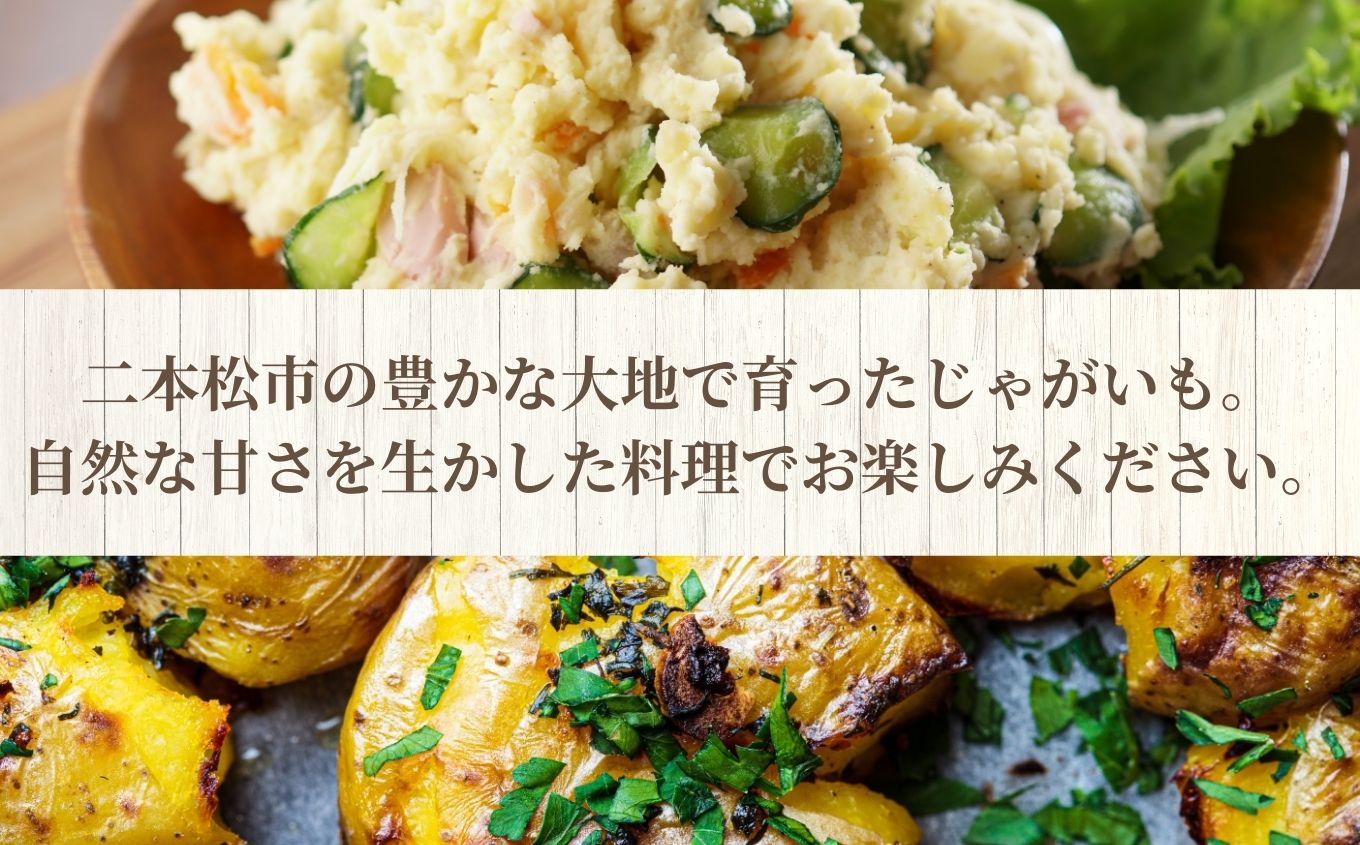 《2025年7月以降順次発送》じゃがいも5kg【一般社団法人二本松有機農業研究会】
