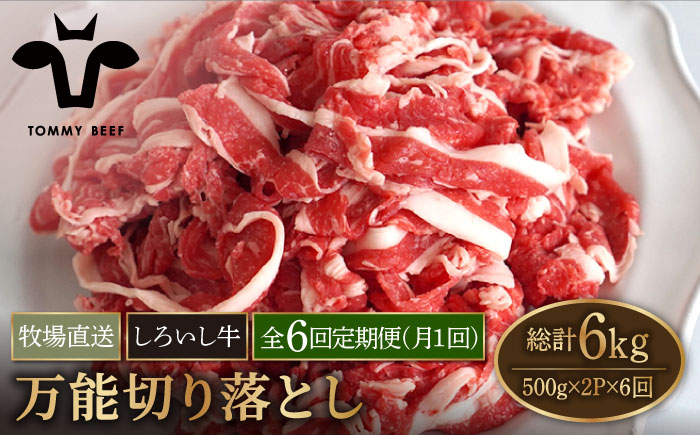 【牧場直送】【6回定期便】佐賀県産しろいし牛 万能切落し 1kg（500g×2パック） 【有限会社佐賀セントラル牧場】 [IAH134]