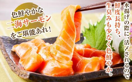 北海道二海サーモン刺身用550g前後　ロイン(皮なし) 【 サーモン 海鮮 魚介 冷凍 食品 グルメ お取り寄せ 八雲町 北海道 】