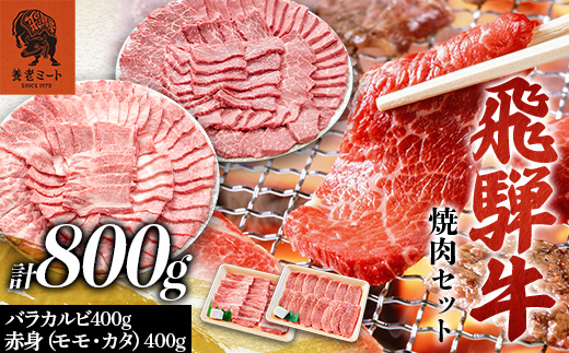 飛騨牛 焼肉セット 800g 焼肉 BBQ 牛肉 和牛 肉 霜降り バラカルビ 赤身 モモ カタ 詰め合わせ ギフト 御祝 内祝 4人前 大容量 岐阜県 坂祝町 養老ミート  F6M-394