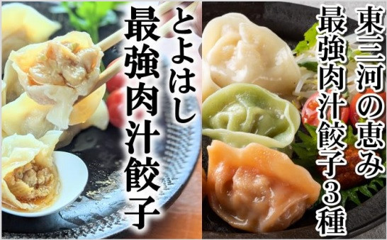 
最強肉汁味くらべ『とよはし最強肉汁餃子』と『東三河の恵み最強肉汁餃子3種』（各１箱セット）
