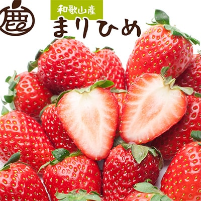＜1月より発送＞朝摘み完熟まりひめ約600g(300g前後×2P)【和歌山ブランド苺】【いちご】【配送不可地域：離島・北海道・沖縄・東北・関東・九州】【1311842】