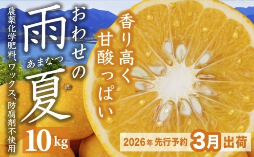 【先行予約 ３月出荷】 おわせの雨夏（あまなつ）  10kg　無農薬 ワックス・防腐剤不使用 木成り 完熟 甘夏  ギフト 贈答 日用 でも使える 三重 尾鷲 の 柑橘 特産品   TK-15