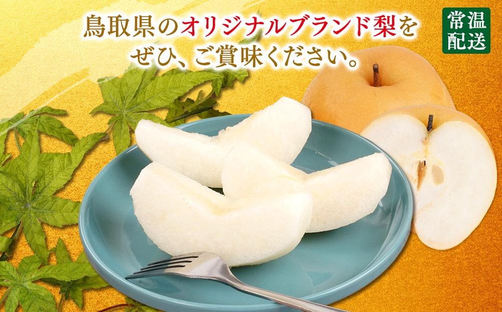 【先行予約】梨 新興梨 鳥取産 5kg× 1箱