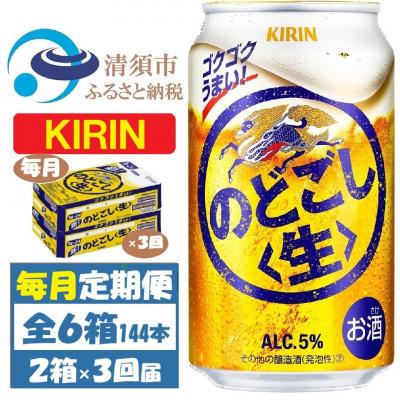 ふるさと納税 清須市 【毎月定期便】キリン のどごし生 350ml 2ケース(48本)全3回