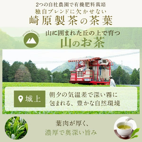 川内ほまれ【紫】煎茶 計300g