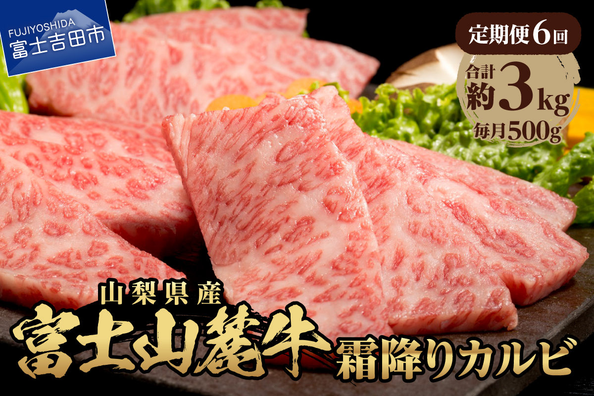 【6ヶ月お届け】山梨県産 富士山麓牛 霜降りカルビ 500g