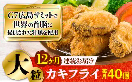 広島G7で提供された牡蠣！【全12回定期便】【広島県産】牡蠣屋さんが作ったこだわりの大粒 カキフライ 40個（瞬間冷凍） 牡蠣 かき カキ 料理 簡単＜マルサ・やながわ水産有限会社＞江田島市[XBL020]牡蠣 むき身 殻付き 殻付 殻 かき カキ 生牡蠣 広島牡蠣 オイスター カキフライ 魚介類 魚介 貝類 海鮮 広島県産 国産 産地直送 贈答 ギフト 特産品