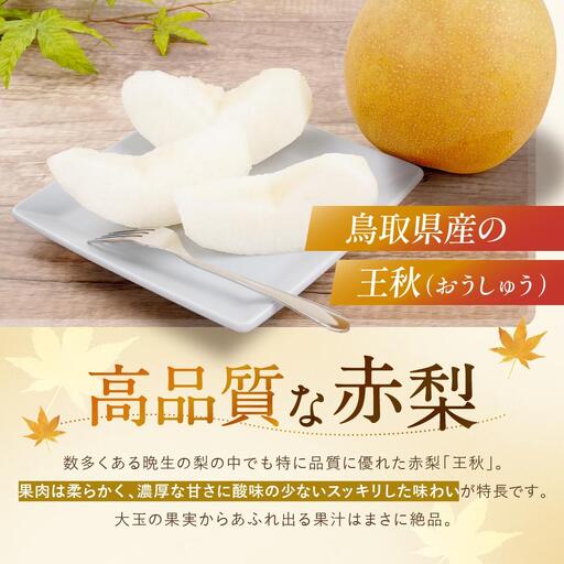 【先行予約】数量限定 鳥取県産梨 王秋（おうしゅう） 3.5kg（5～6玉）