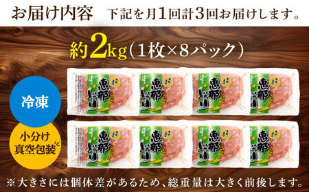 【3回定期便】【冷凍】 恵那どり もも肉 小分け 8枚 セット (約2kg) [TEZ002] もも肉 小分け