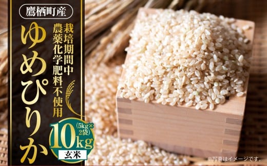 A244 【令和7年産】 ゆめぴりか （ 玄米 ） 栽培期間中農薬化学肥料不使用 5kg×2袋 たかすタロファーム 北海道 鷹栖町 米 コメ こめ ご飯 お米