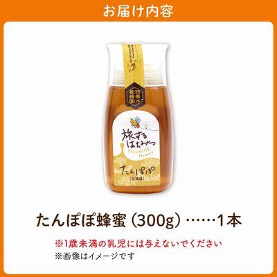 ふるさと納税 南九州市 旅するはちみつ300g【たんぽぽ蜂蜜】 |  | 03