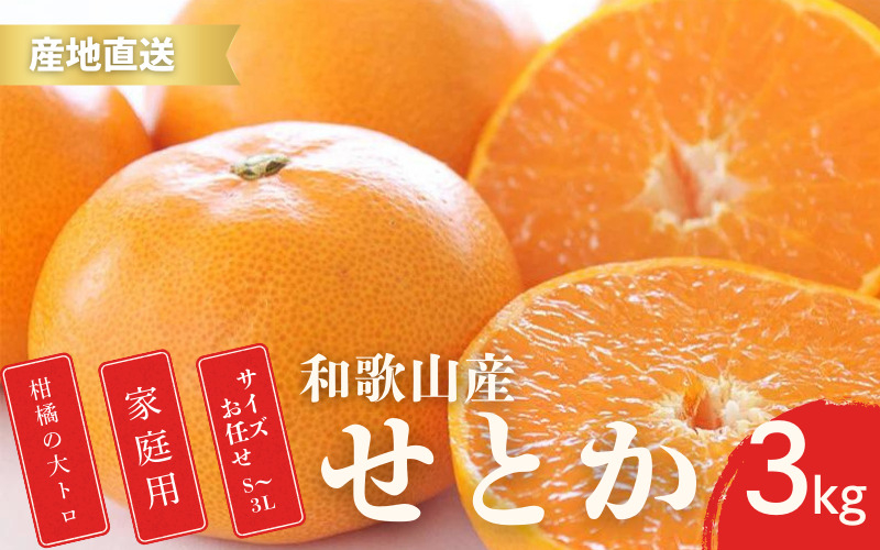 
            【先行予約】ご家庭用 せとか 和歌山 有田 S～3Lサイズ 大きさお任せ 3kg【2月中旬～3月下旬頃に順次発送】/ みかん フルーツ 果物 くだもの 蜜柑 柑橘【ktn014A】
          