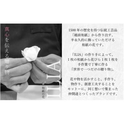 ふるさと納税 越前町 【越前和紙】羽子板 飾り 胡蝶蘭(ホワイト) |  | 02