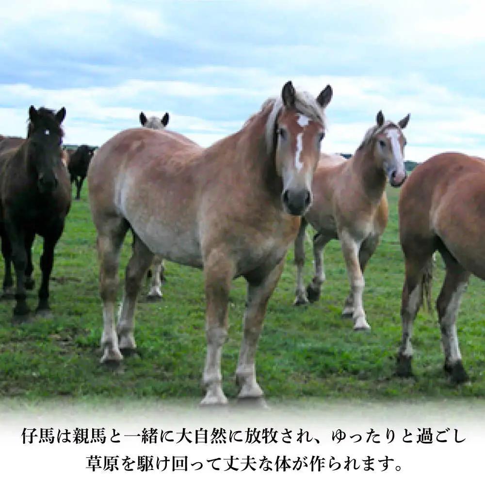 【全6回定期便】国産馬刺しと ユッケ 計約310g ユッケBHAD088