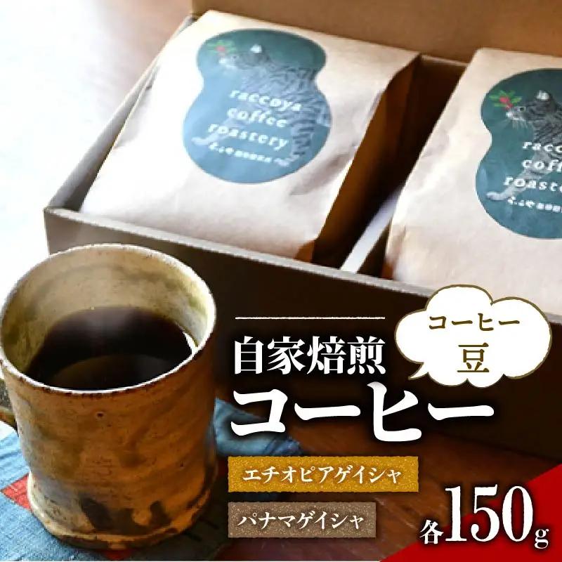 コーヒー 珈琲【 パナマゲイシャ エチオピアゲイシャセット】 コーヒー豆