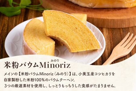 Atelier Petit Bois アトリエ プティ・ボア 焼き菓子詰め合わせ 全11種 詰合せ 焼菓子 セット 個包装 ギフト 送料無料 米粉バウムクーヘン 米粉バームクーヘン 黒糖バウムクーヘン