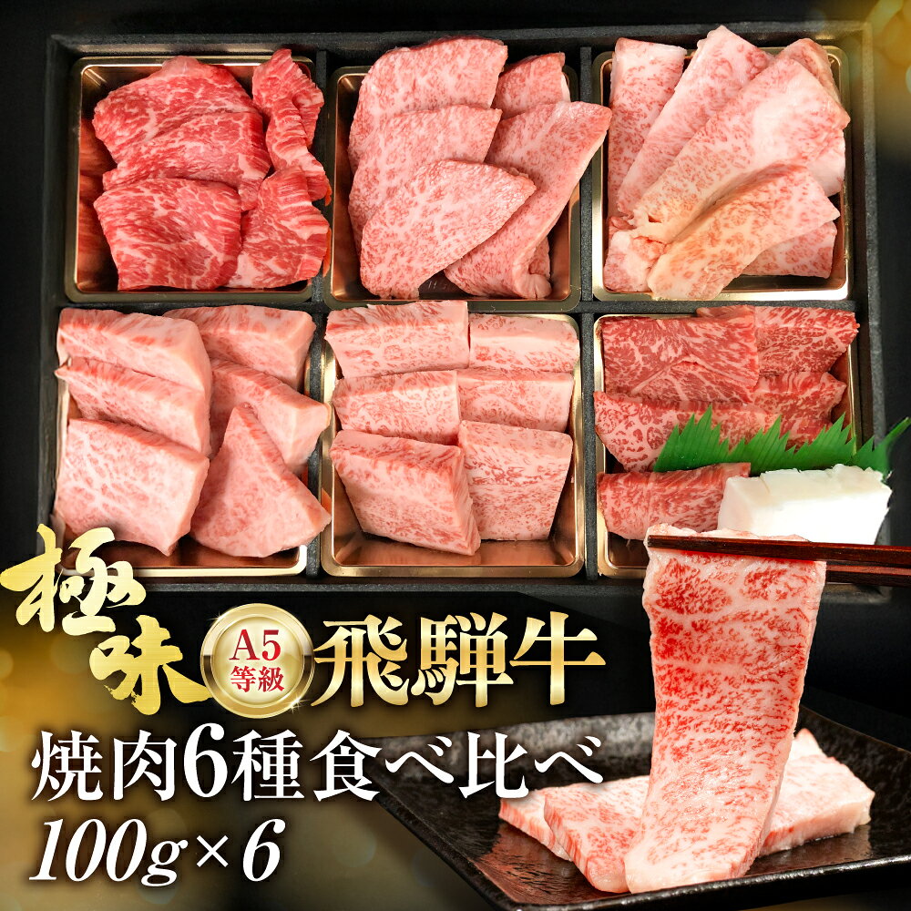 飛騨牛 6種食べ比べ セット 600g(100g×6） 赤身　霜降り　希少部位 A5 5等級 黒毛和牛 和牛 牛肉 肉 個包装 ギフト 贈答用 贈り物 お中元　飛騨高山　［c536］
