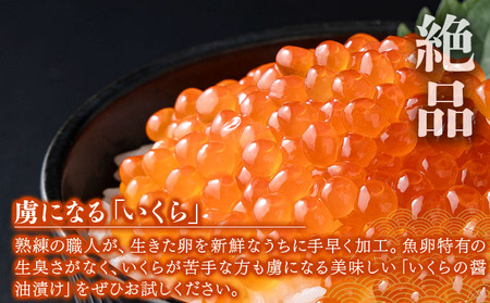 大粒 鮭いくら 醤油漬け 500g [024-a055]
