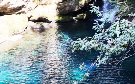 奇跡の清流「仁淀川」の伏流水で育てた高知県産 うなぎ蒲焼 2尾 / うなぎ 鰻 ウナギ 2尾 セット 冷凍 鰻の蒲焼 うなぎ蒲焼き うな重 うな丼 ひつまぶし タレ たれ 国産 高知 高知県産 お取り
