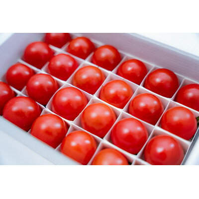 【ふるさと納税】【大人気ギフト】極甘高糖度フルーツトマト「ポモ・ロッサ」　24粒入りギフトボックス【配送不可地域：離島・北海道・沖縄県・九州】【1616590】