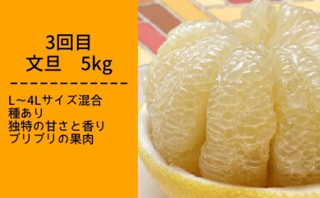 柑橘フルーツ４回定期便（ぽんかん３kg・麗紅３kg・文旦５kg・小夏３kg）みかん４種 先行予約【J00018】