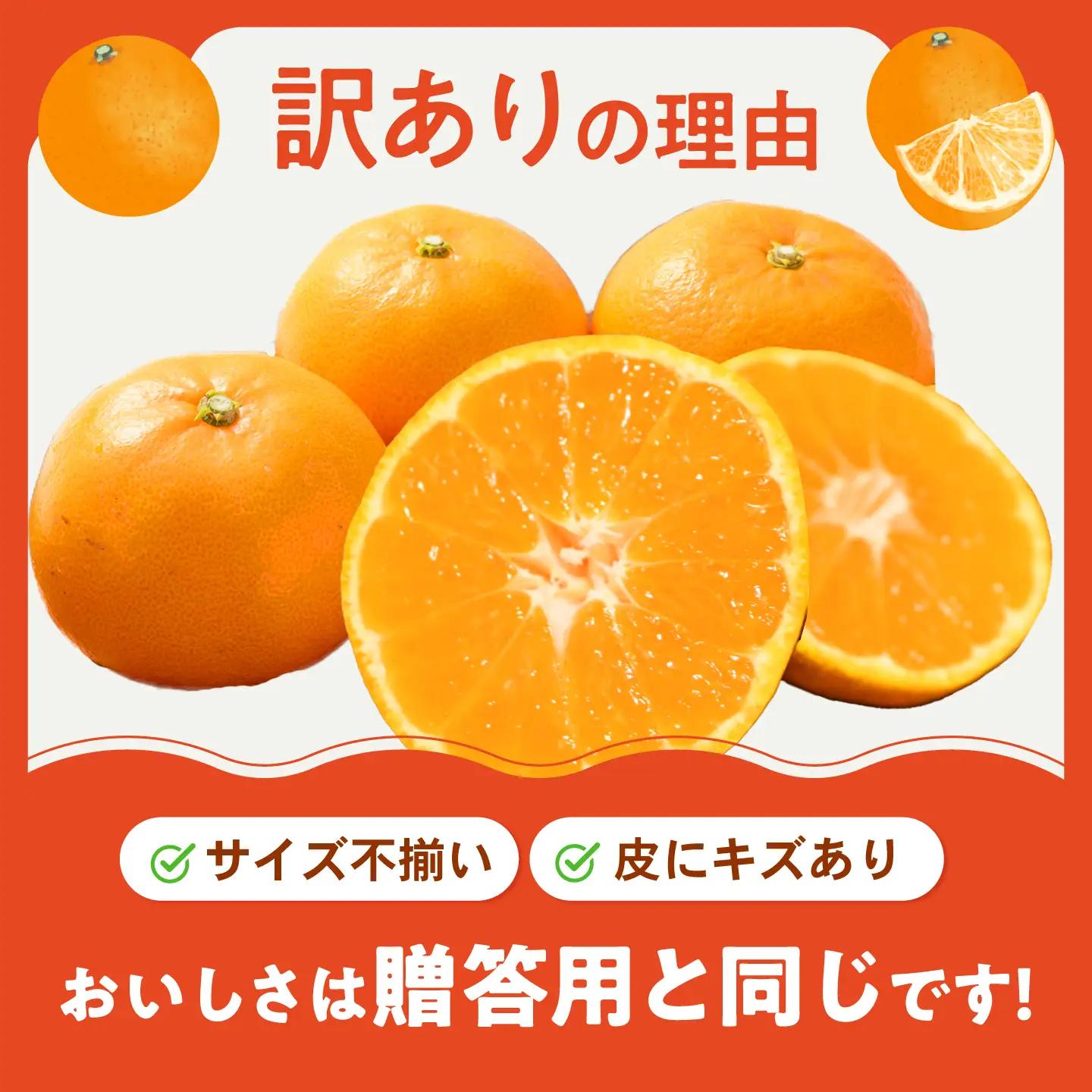 みかん 訳あり 愛果48号 約5kg サイズ不揃い【3月中旬から4月下旬まで順次発送】/ フルーツ 果物 蜜柑 ミカン オレンジ 訳あり 訳アリ 小玉 甘い 先行予約 5kg 愛媛 / 愛媛県砥部町/