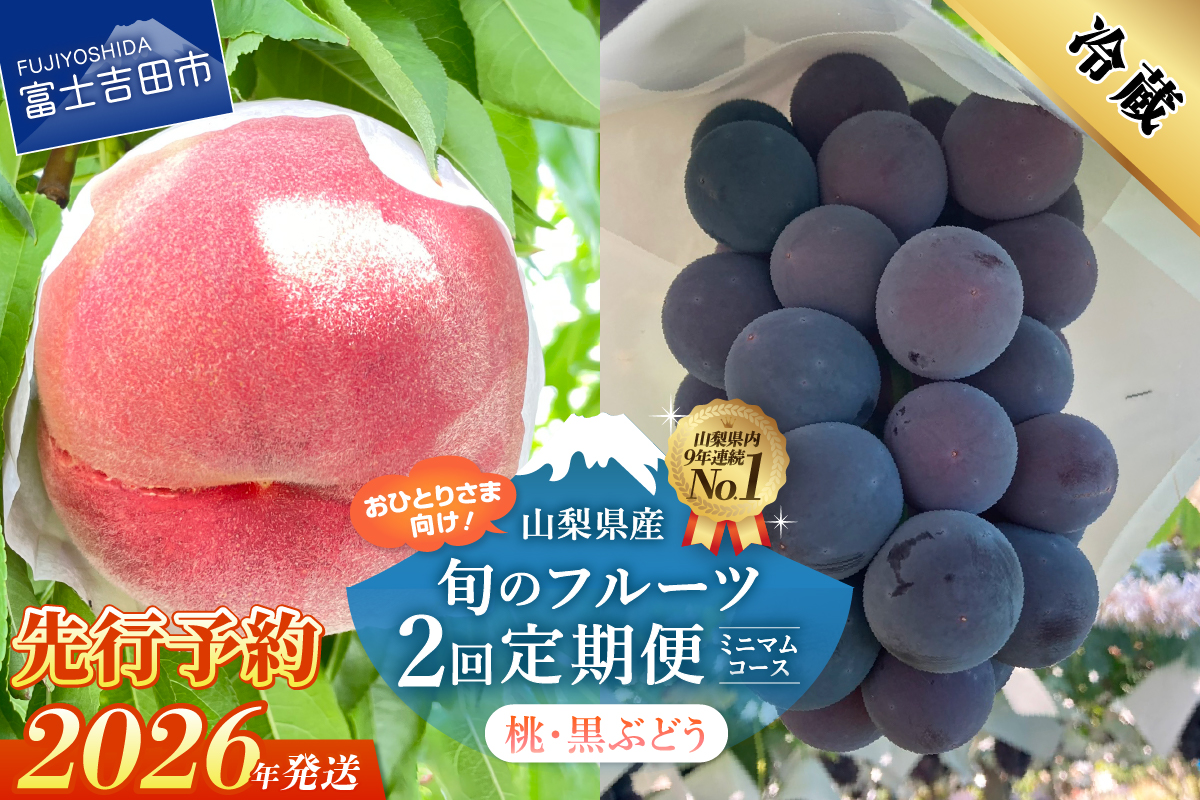 【2026年先行予約】【ミニマム 2回定期便】厳選 旬のフルーツ定期便（桃3玉・黒ぶどう1房）