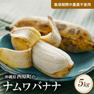 ふるさと納税 西原町 西原町の栽培期間中農薬不使用のナムワバナナ5kg