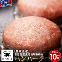 【ふるさと納税】「農家直送」石垣島黒毛和牛100％ハンバーグ 100g×10個 | 沖縄県 石垣 直送 黒毛 和牛 ハンバーグ BO-1