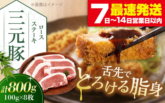 
             平田牧場 ロースステーキ 800g (100g×8枚) ※藻塩ナシ《喜茂別町》【平田牧場】とんかつ ロース 時短 豚肉 冷凍 豚カツ トンカツ 肉 お弁当 おかず 国産 豚ロース 送料無料 とんかつ用 惣菜 簡単  [AJAP069] 17000 17000円
          