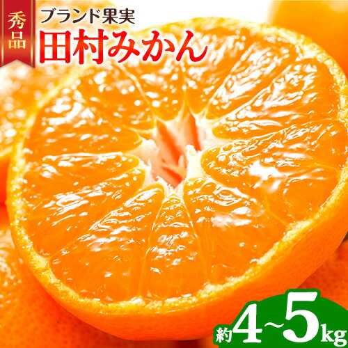 【ふるさと納税】【先行予約】みかん 田村みかん 秀品 選べる 4kg 5kg サイズ指定なし 株式会社とち亀物産《2025年11月下旬-1月中旬頃出荷》和歌山県 日高町 フルーツ くだもの 果物 柑橘 旬 ノーワックス 送料無料 紀伊国屋文左衛門本舗