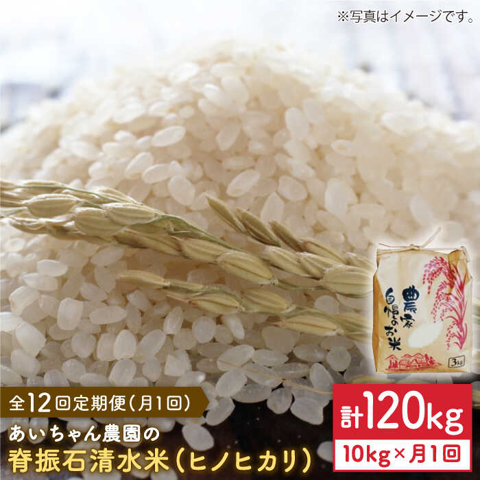 【10kg×12回定期便】脊振石清水米（ヒノヒカリ）10kg 【あいちゃん農園】[FAA042]