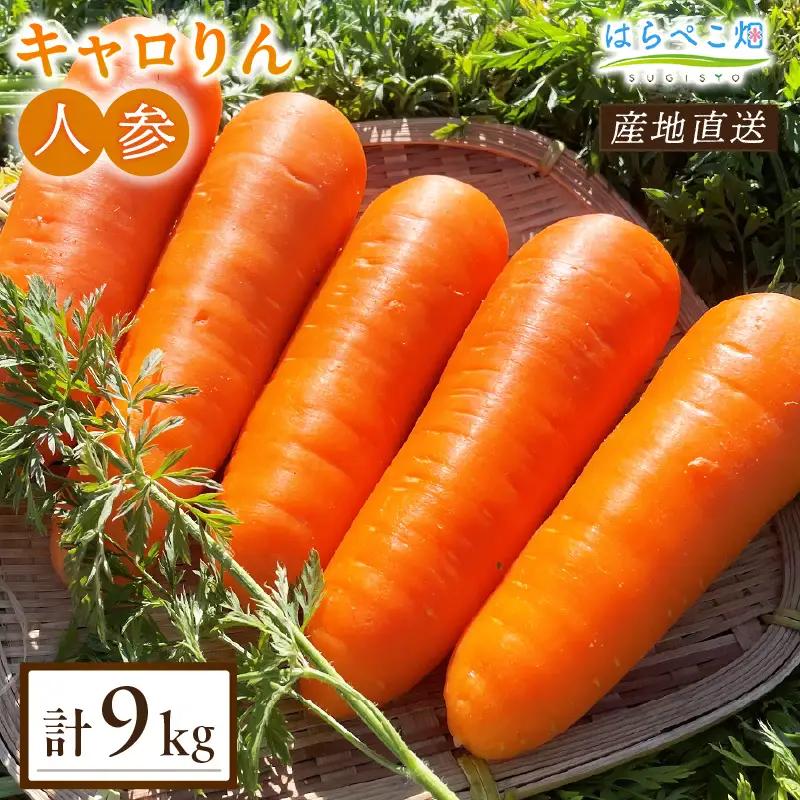 人参『キャロりん』（4.5kg×2箱）合計9kg・H109