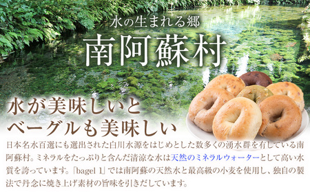 阿蘇の天然水使用 ベーグルセット 7種 10個入 ベーグル・ワン《30日以内に出荷予定(土日祝除く)》熊本県 南阿蘇村 ベーグル パン おやつ 送料無料