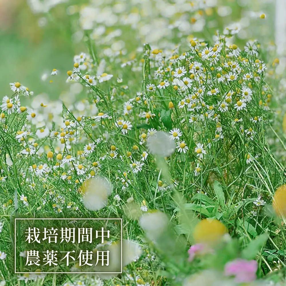 【全4回定期便】壱岐島の四季折々の恵み「旬摘みフラワーティー」アソート6パック《壱岐市》【Island Kiss Innocent】[JGJ004]