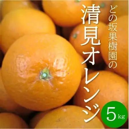【2027年3月以降出荷】どの坂果樹園の清見オレンジ　5kg(サイズ混合)【1492088】