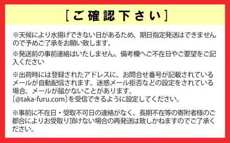 殻付き生牡蠣 20個 訳あり 三陸産 旬 生牡蠣