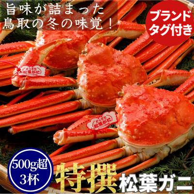 ふるさと納税 八頭町 【ボイル】特撰 松葉がに(タグ付き)500g超 お手頃サイズ　3杯